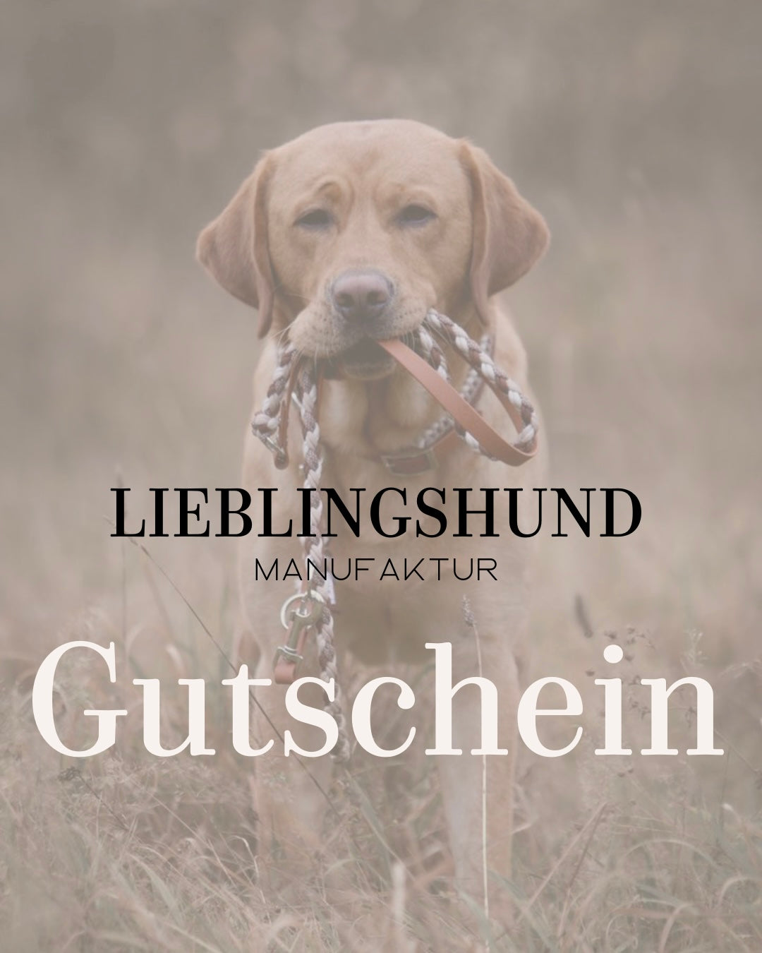 Lieblingshund Geschenkgutschein
