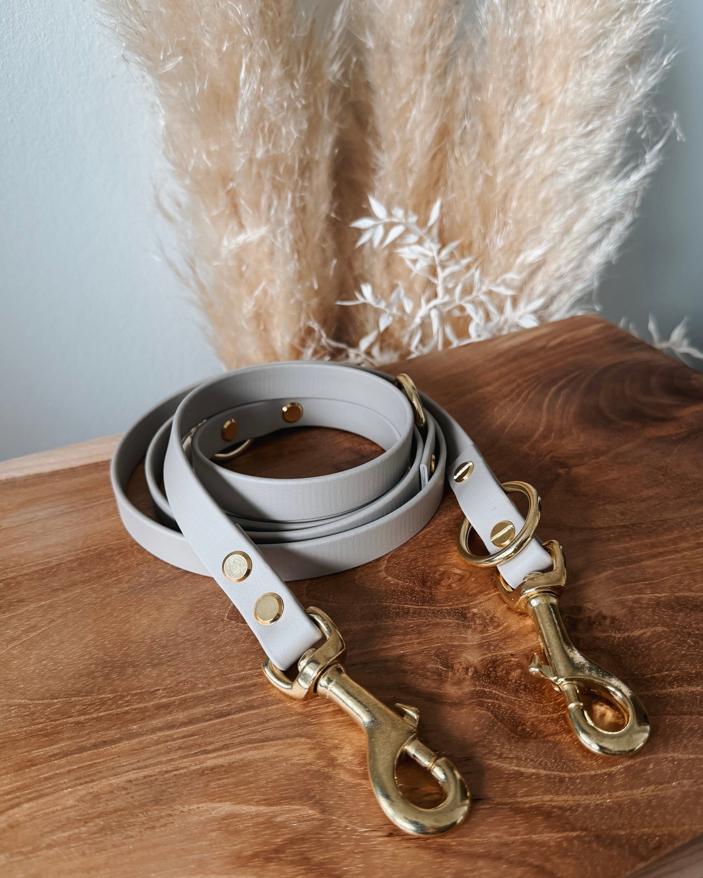 Hundeleine BioThane®️ »Taupe«