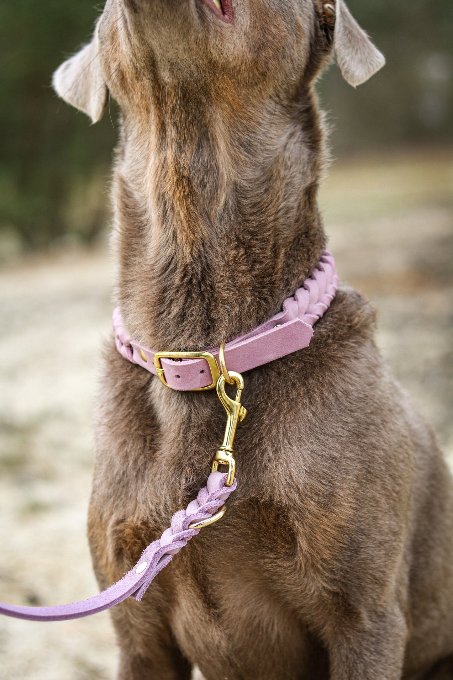 Halsband Fettleder »Pastell Lila«