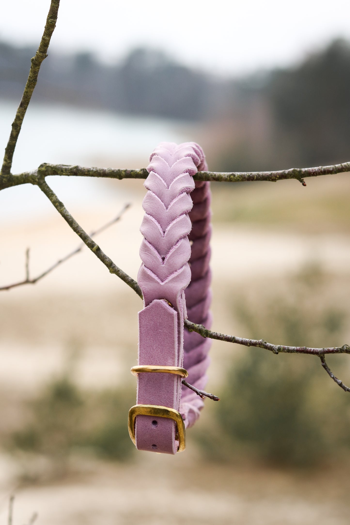 Design your own | Fettleder Halsband
