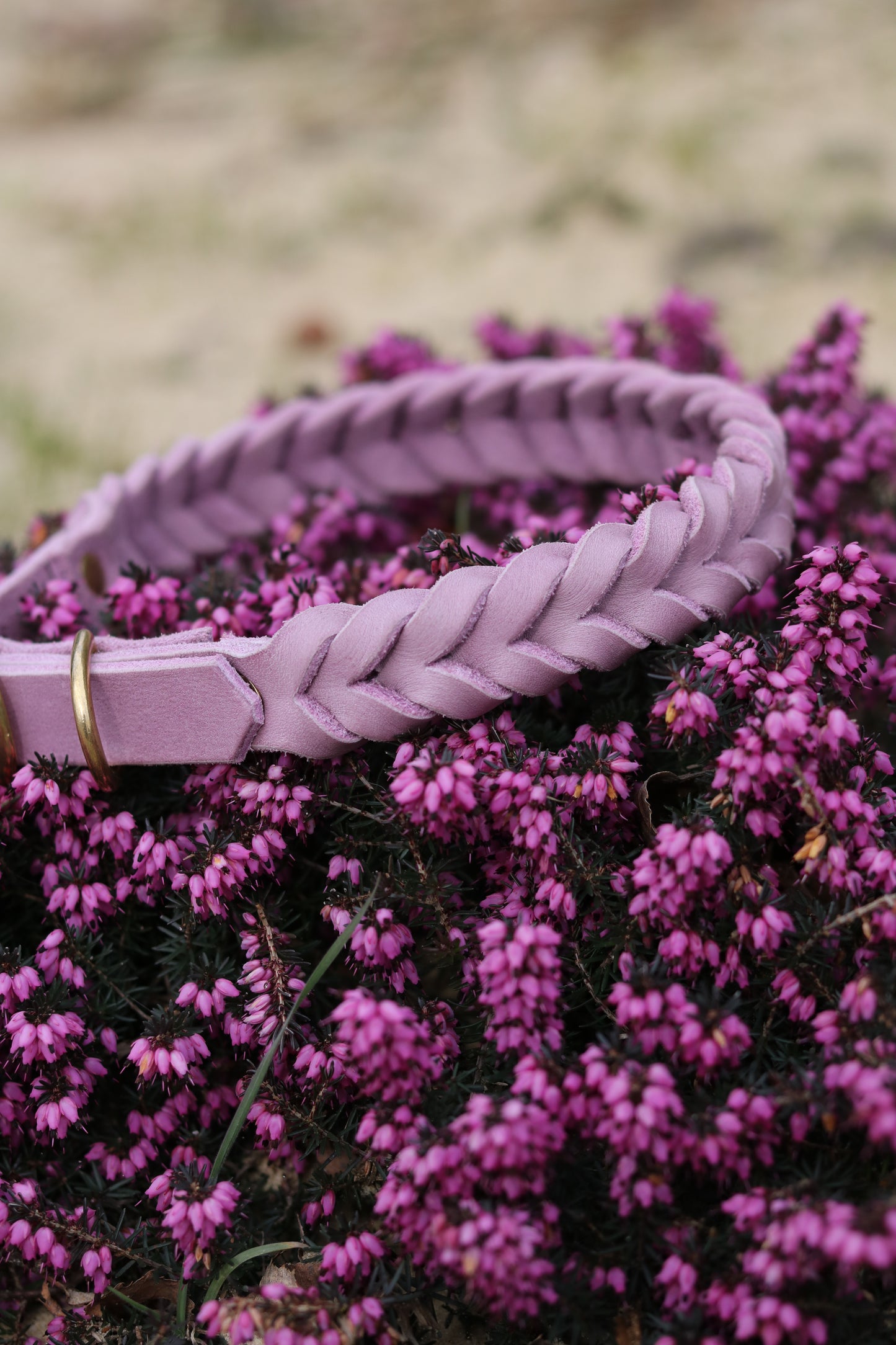 Design your own | Fettleder Halsband