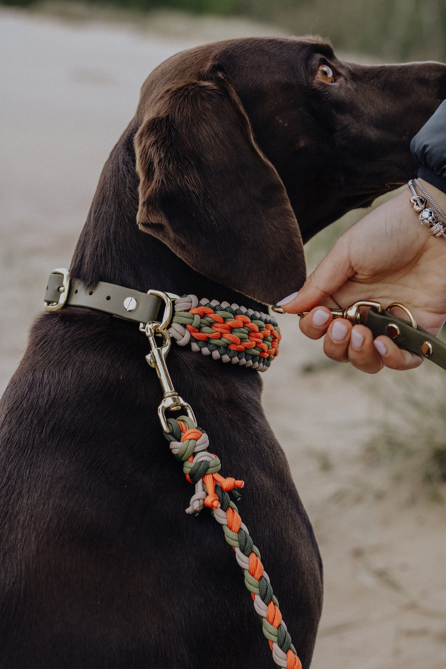Halsband Paracord »Khaki x Orange«