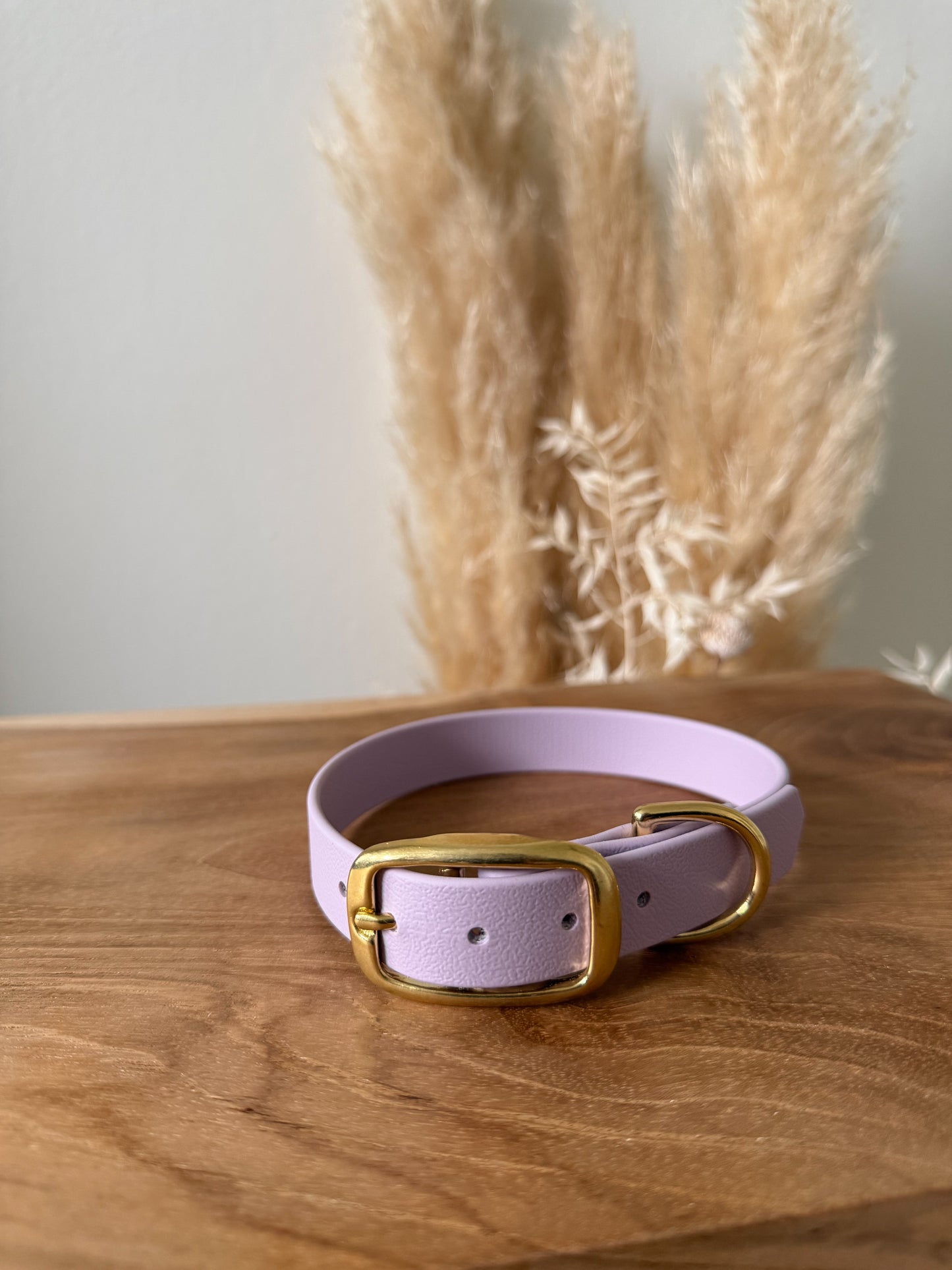 Halsband BioThane®️ »Pastell Lila«