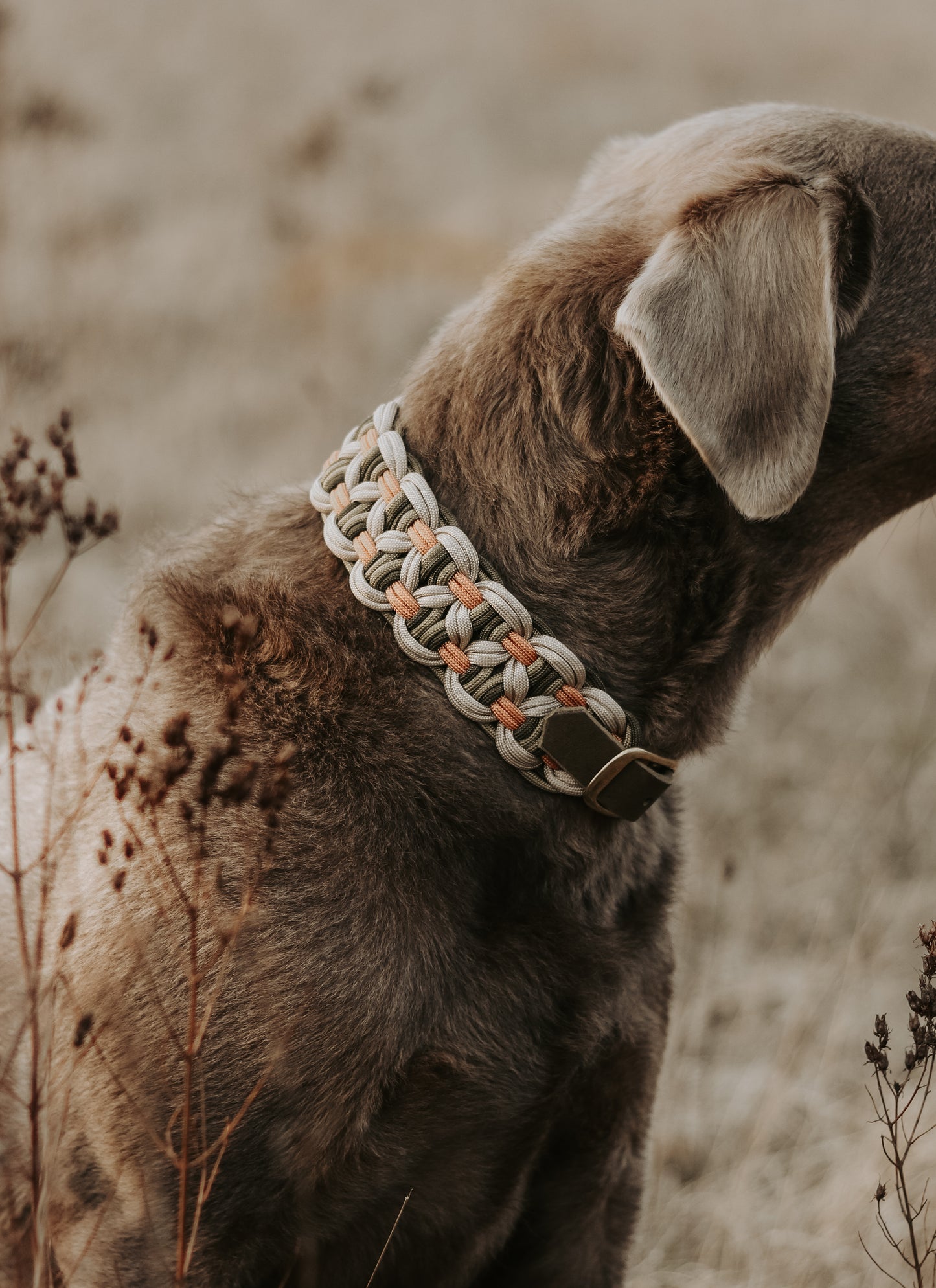 Halsband Paracord »Earthy«