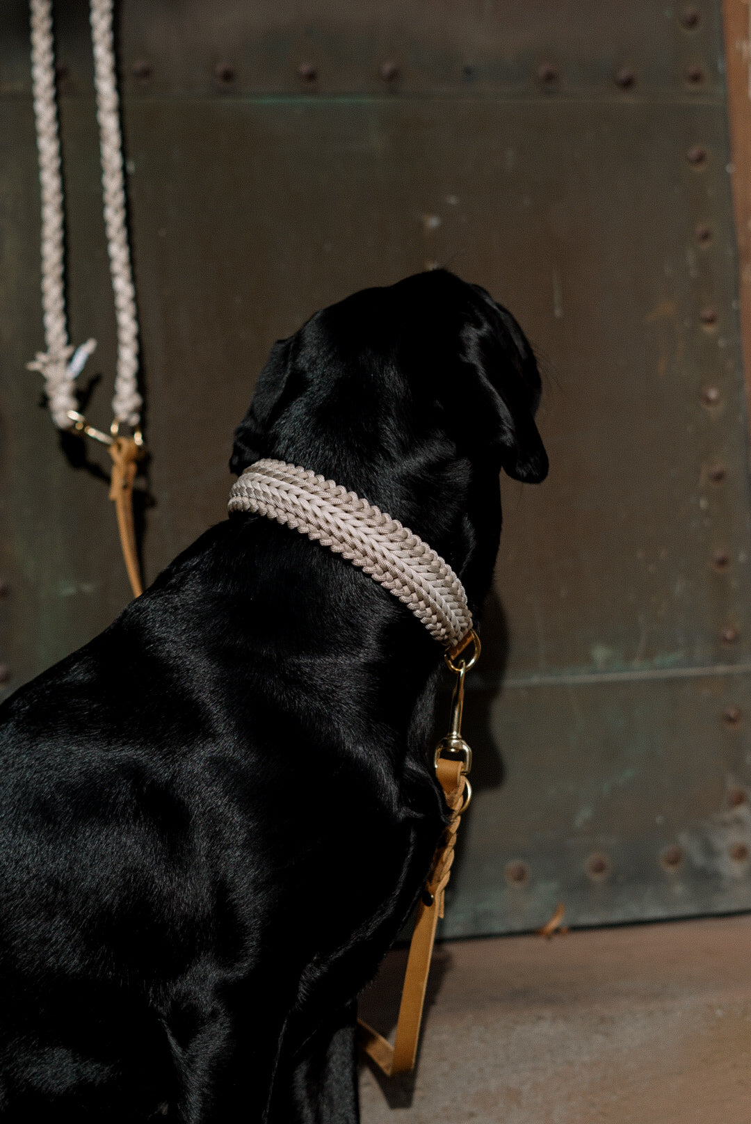 Design your own | Paracord Halsband »Boho«