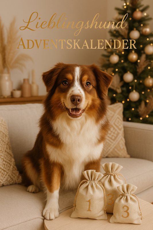 Der Lieblingshund Adventskalender 2025
