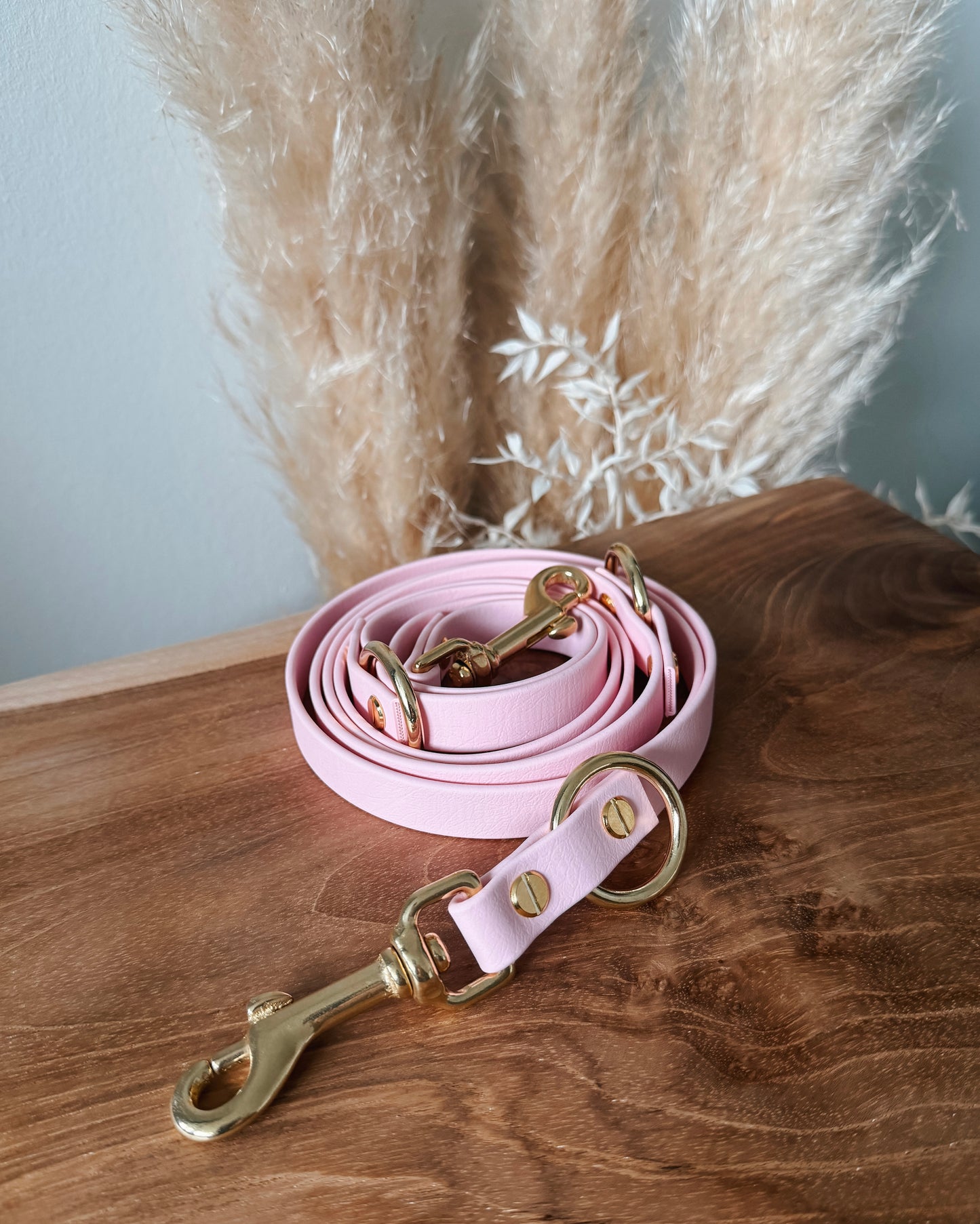 Biothane Leine Pastell Rosa 2,00m • sofort verfügbar