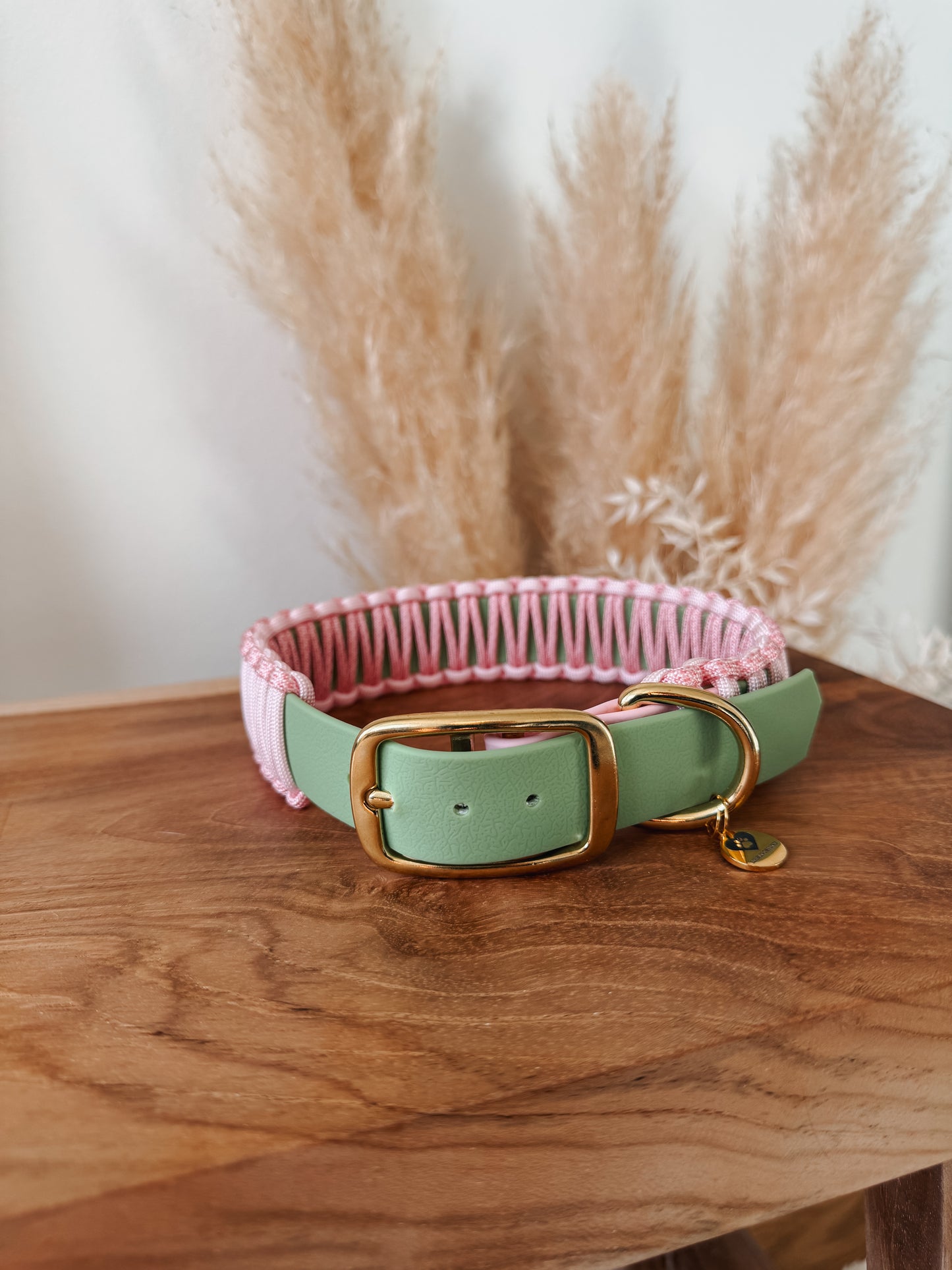 Halsband BioThane®️x Paracord »Strawberry Matcha«