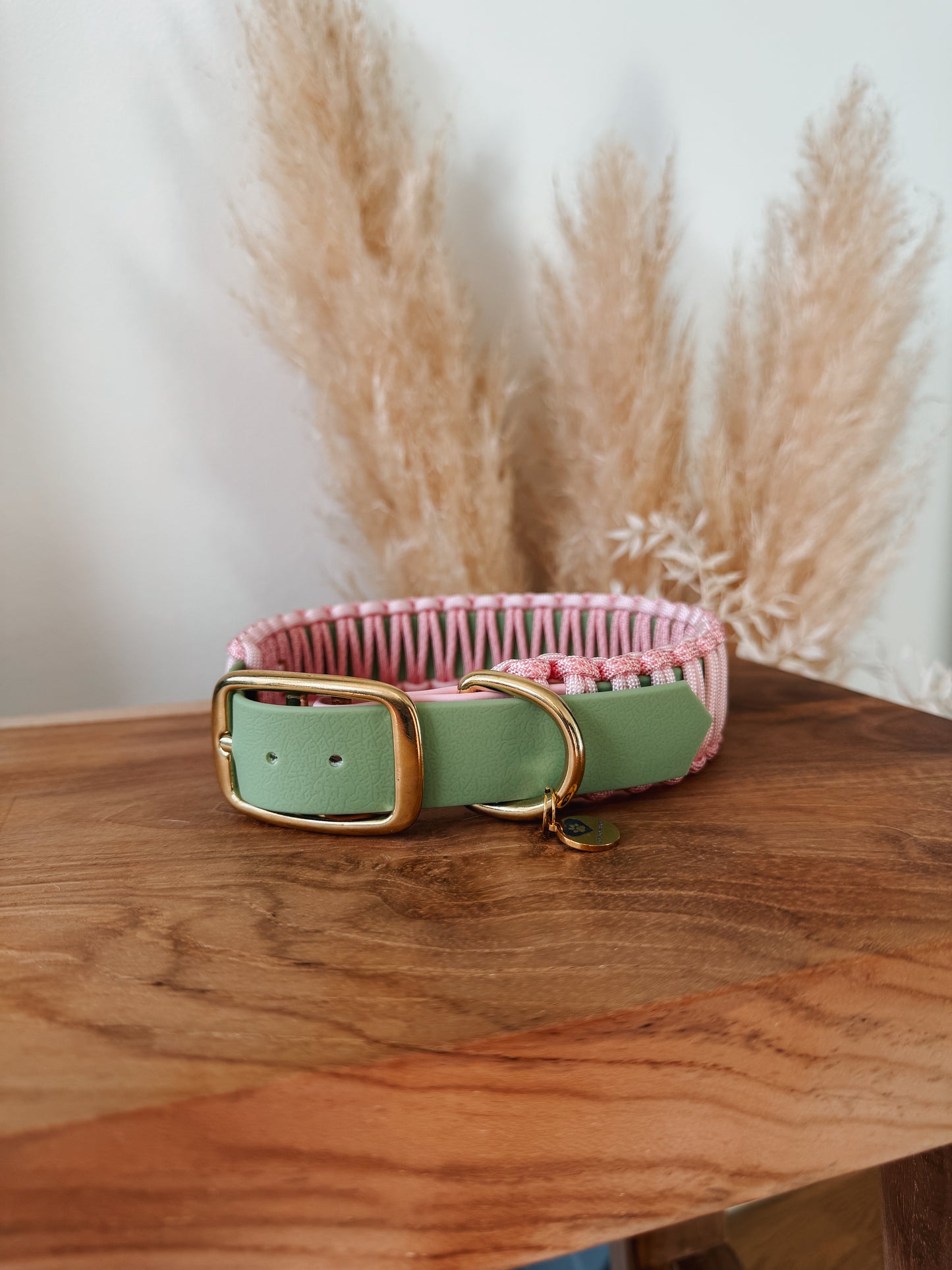 Halsband BioThane®️x Paracord »Strawberry Matcha«