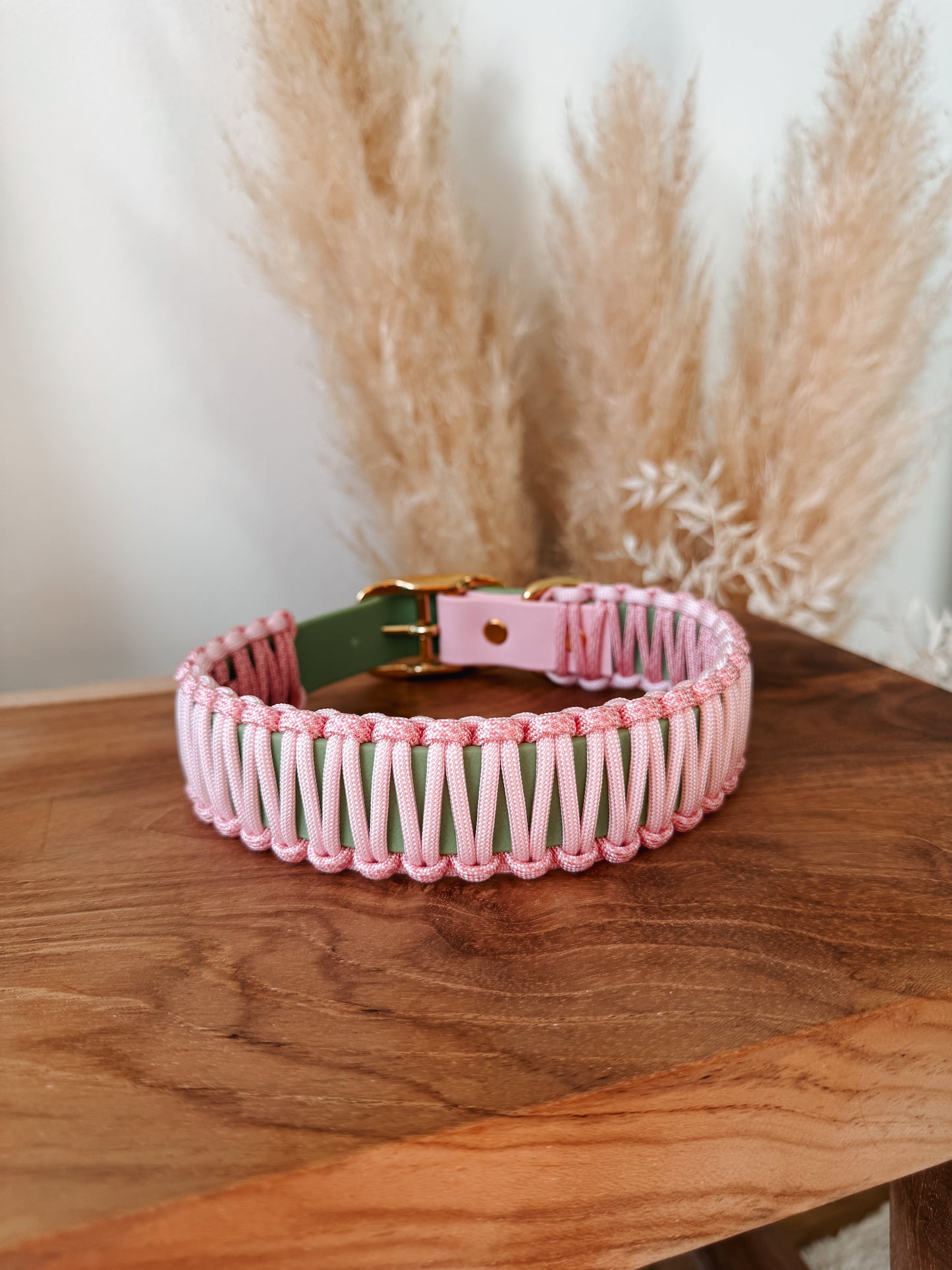 Halsband BioThane®️x Paracord »Strawberry Matcha«