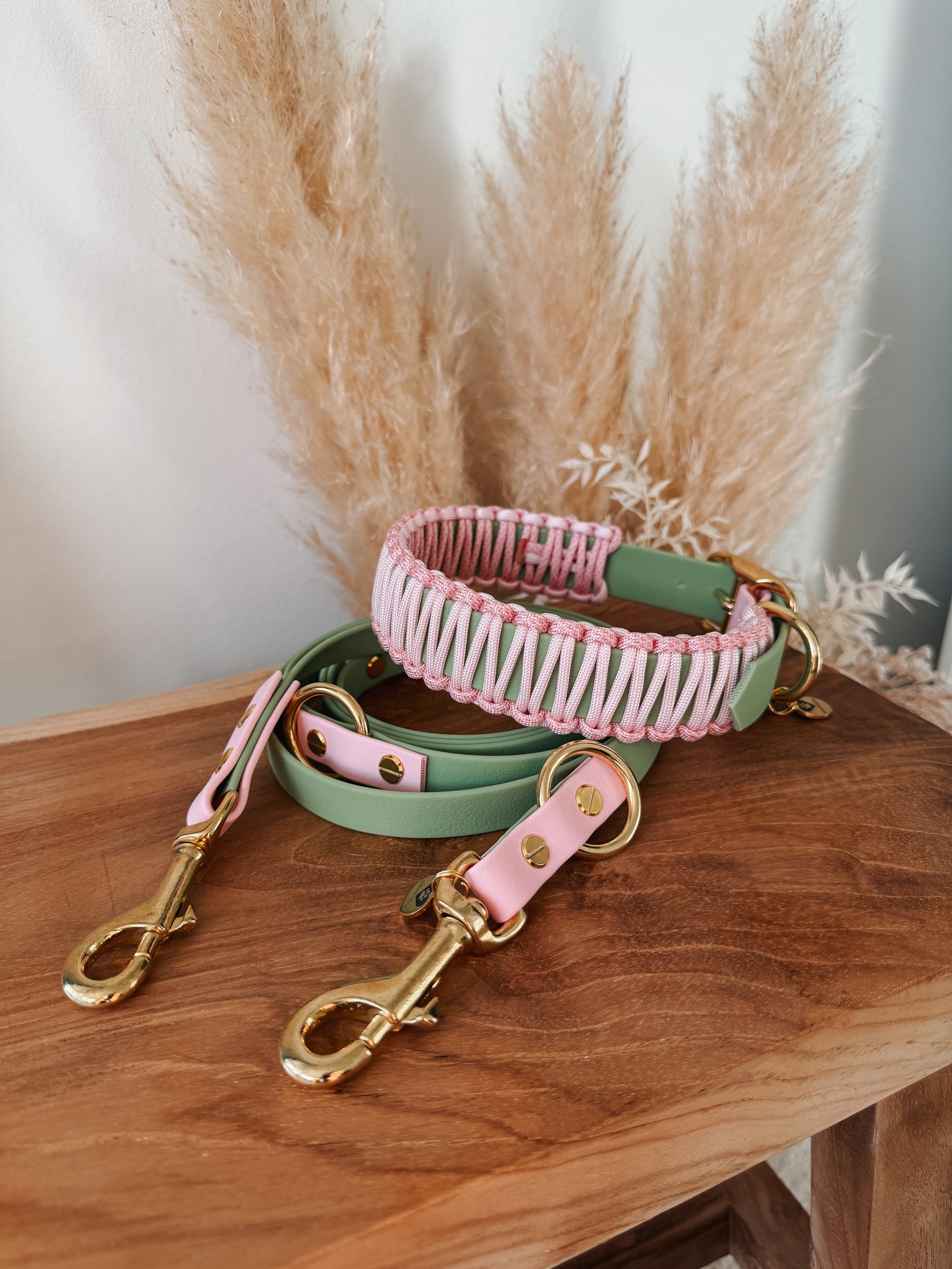 Halsband BioThane®️x Paracord »Strawberry Matcha«