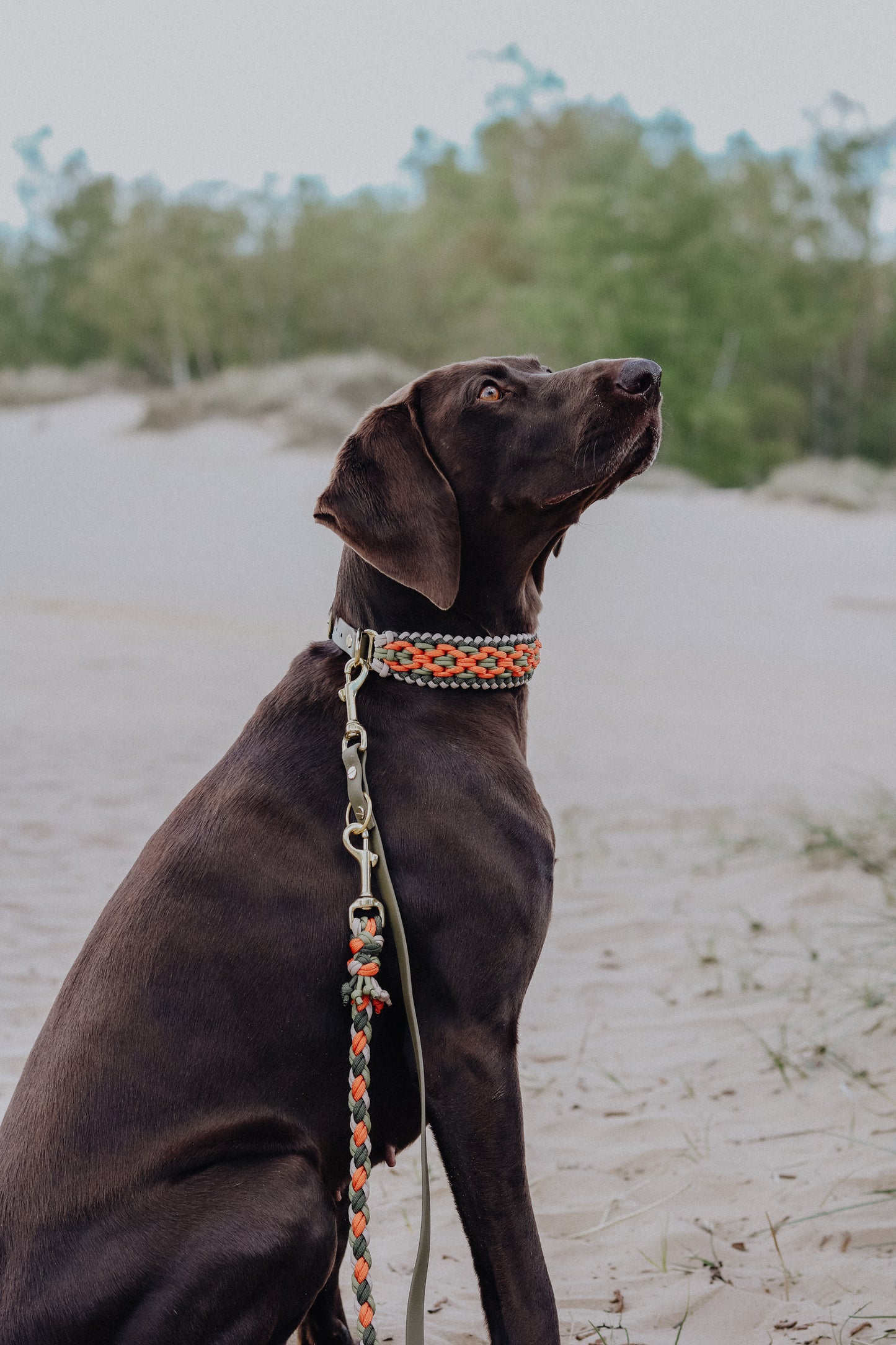 Hundeleine Paracord x BioThane®️ »Khaki x Orange«
