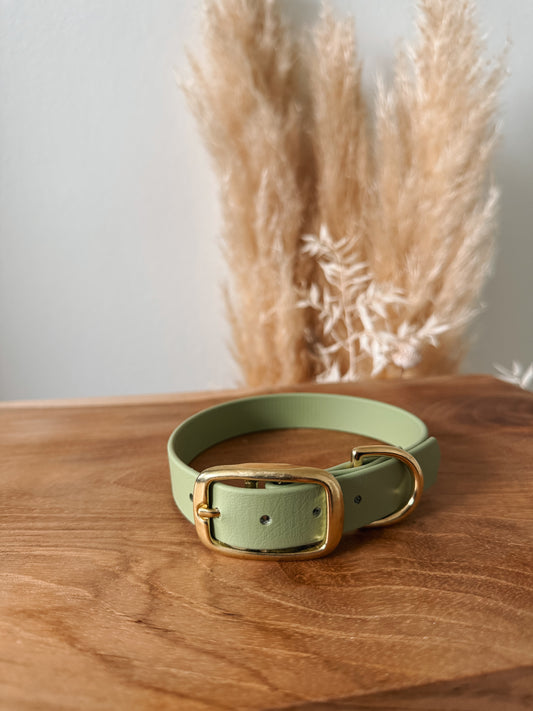 Biothane Halsband Pastell Grün HU 31-36cm • sofort verfügbar