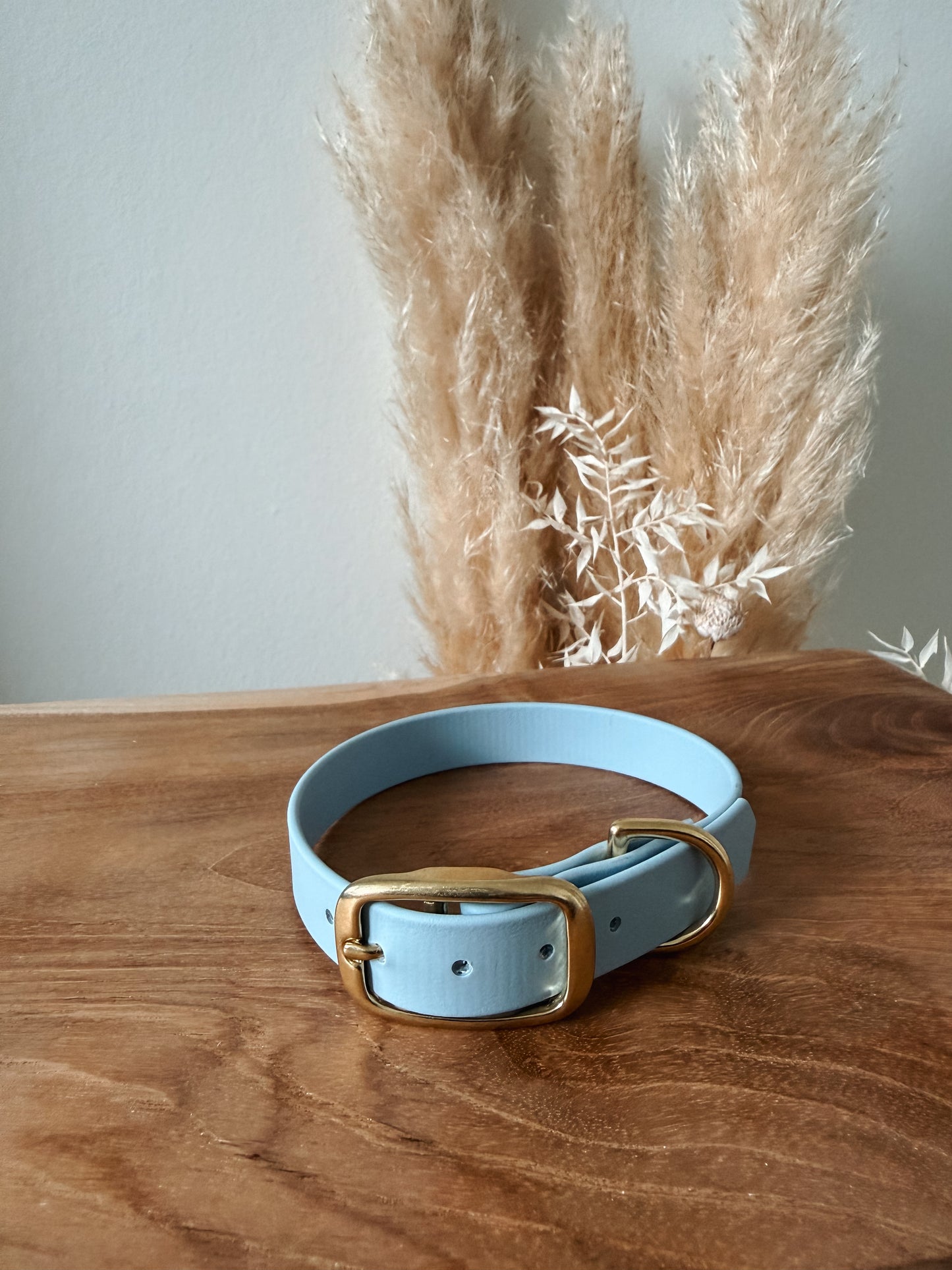 Halsband BioThane®️ »Pastell Blau«