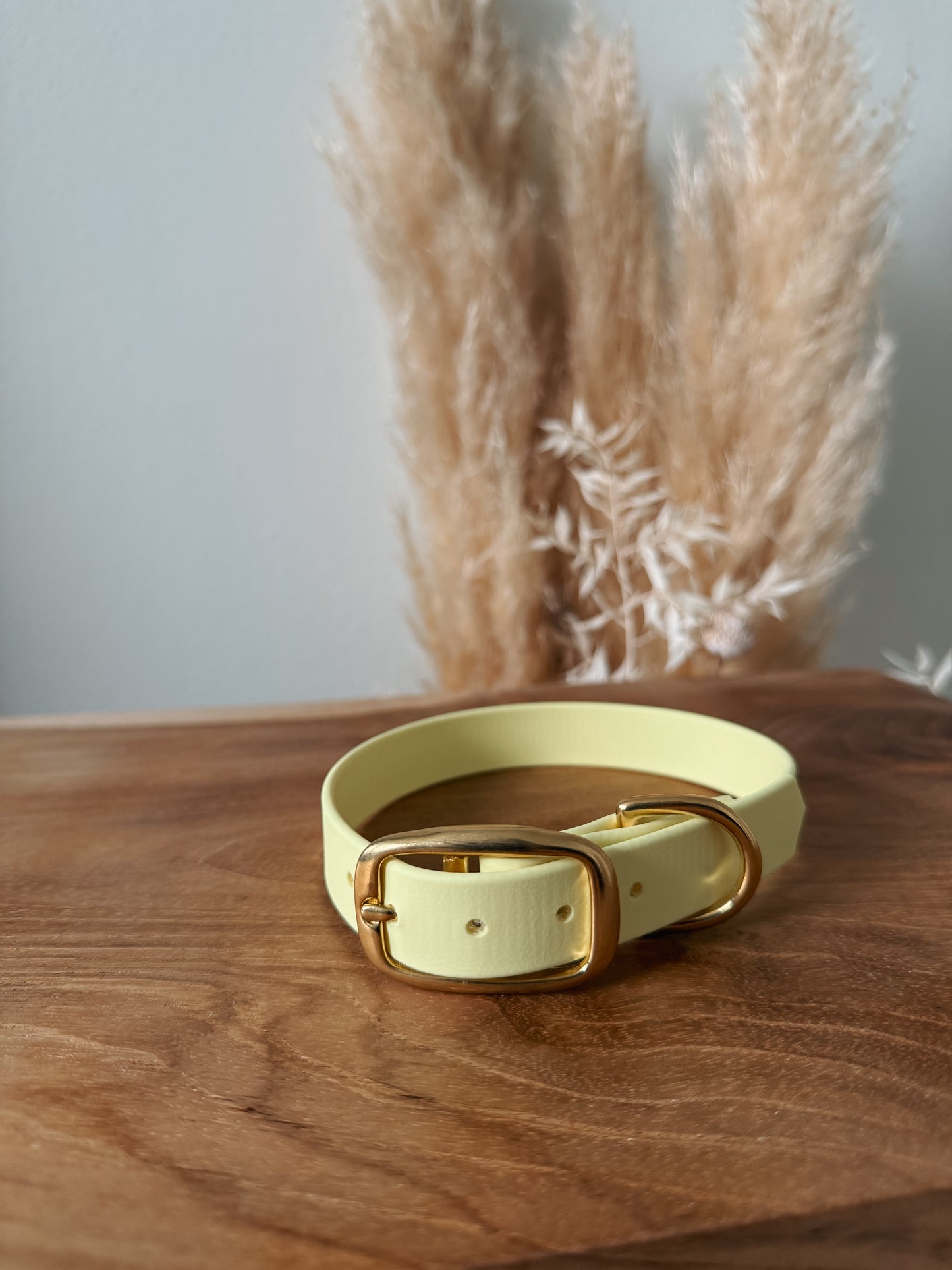 Halsband BioThane®️ »Pastell Gelb«