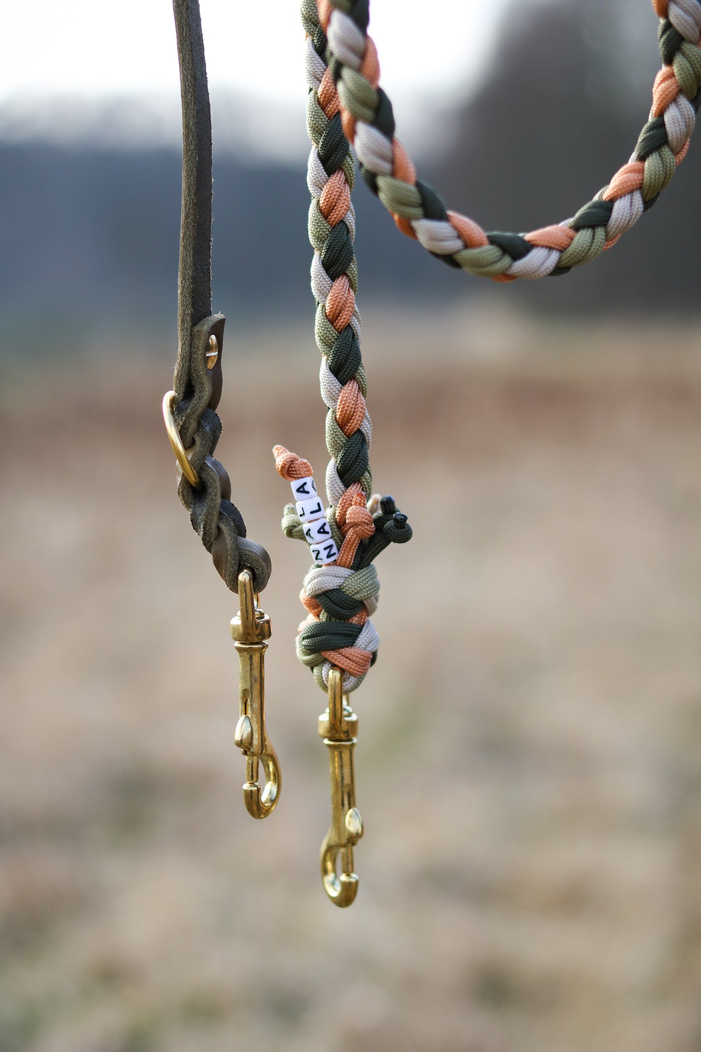 Paracord x Fettleder Hundeleine »Earthy«