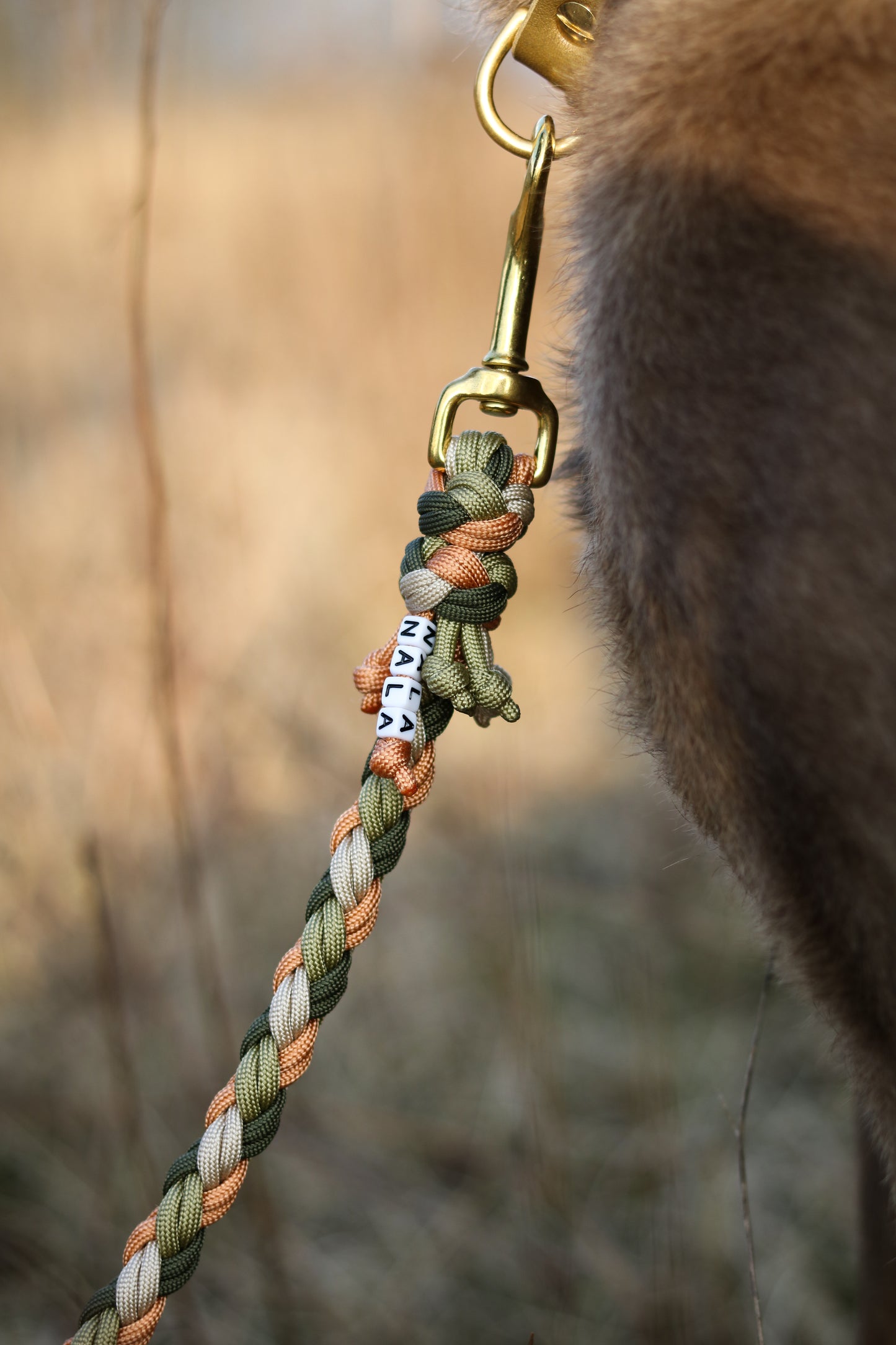 Paracord x Fettleder Hundeleine »Earthy«