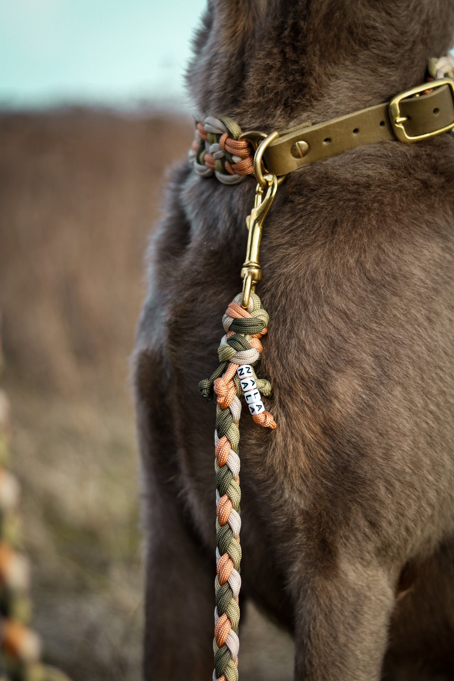 Paracord x Fettleder Hundeleine »Earthy«