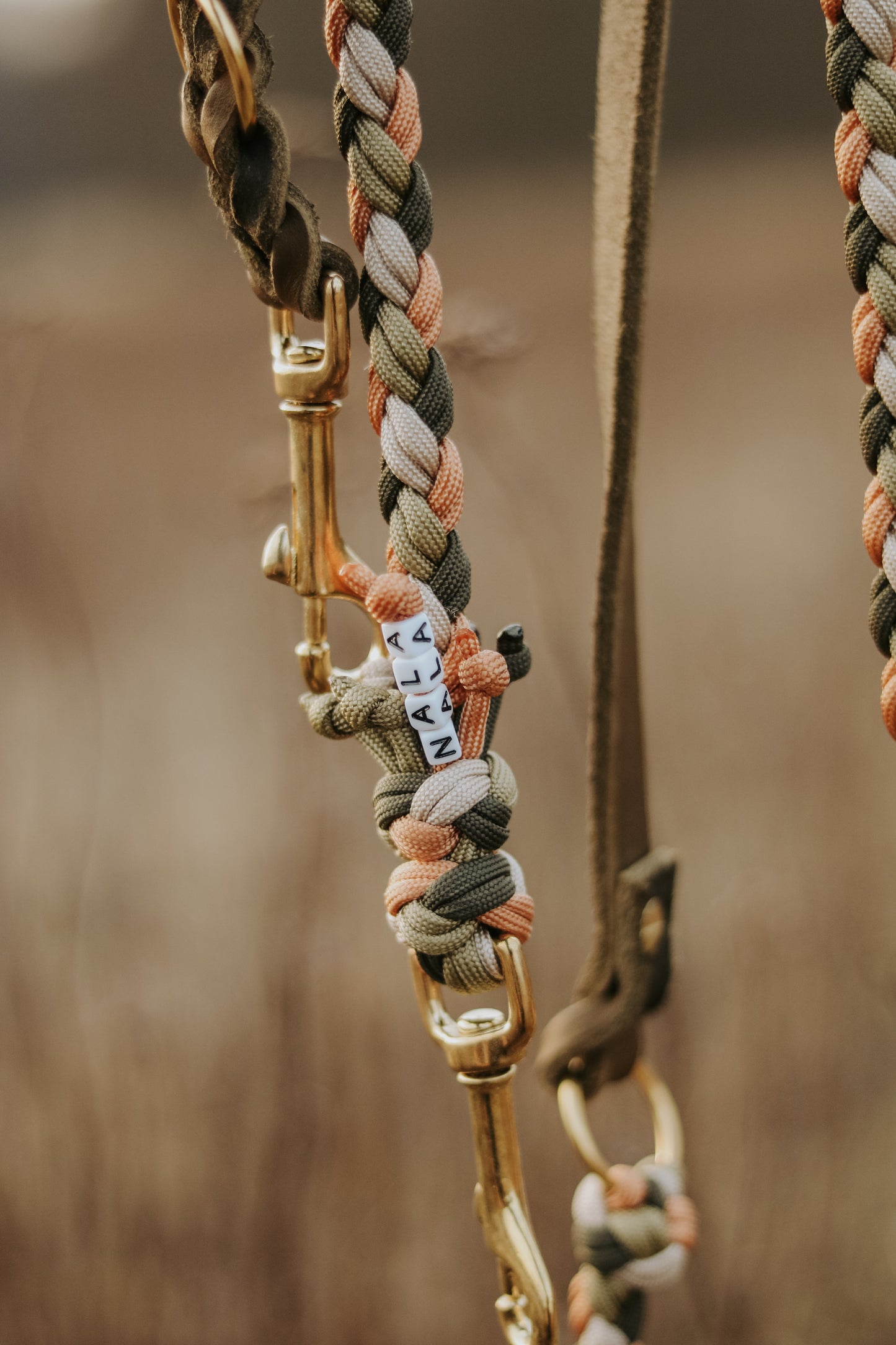 Paracord x Fettleder Hundeleine »Earthy«